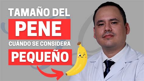 penes de 13 cm|Tamaño normal del pene: hasta qué edad crece (y otras dudas)